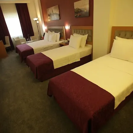 酒店 Helikon Business