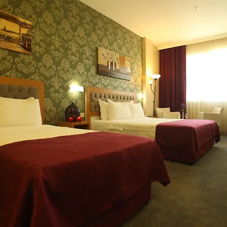 酒店 Helikon Business 伊斯坦布尔