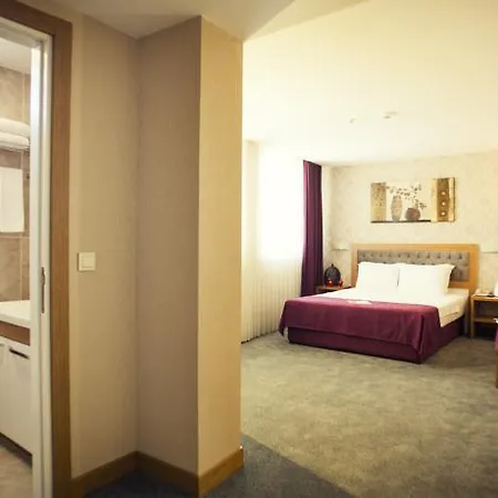 Helikon Business Hotel Stambuł