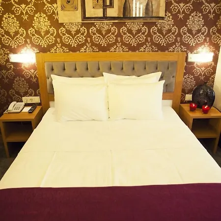 호텔 Helikon Business