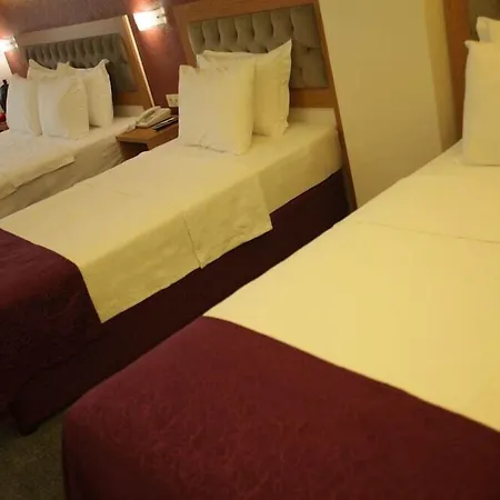 Helikon Business 호텔