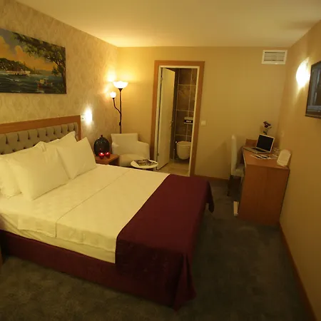 ホテル Helikon Business イスタンブール