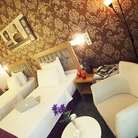 호텔 Helikon Business 3*