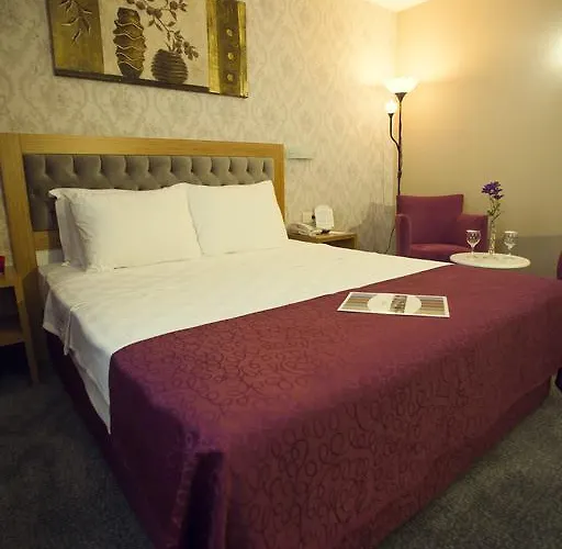 Helikon Business Hotel Estambul