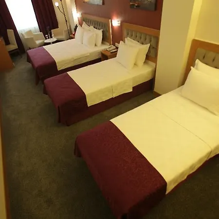 Helikon Business מלון